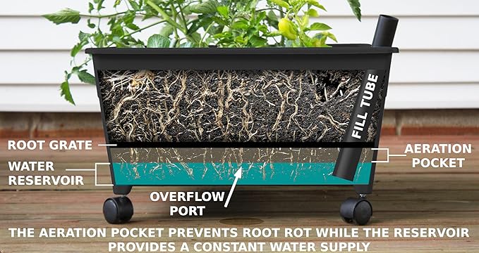 Emsco Group City Picker Raised Bed Grow Box – Self Watering and Improved Aeration – Mobile Unit with Casters Emsco+Group