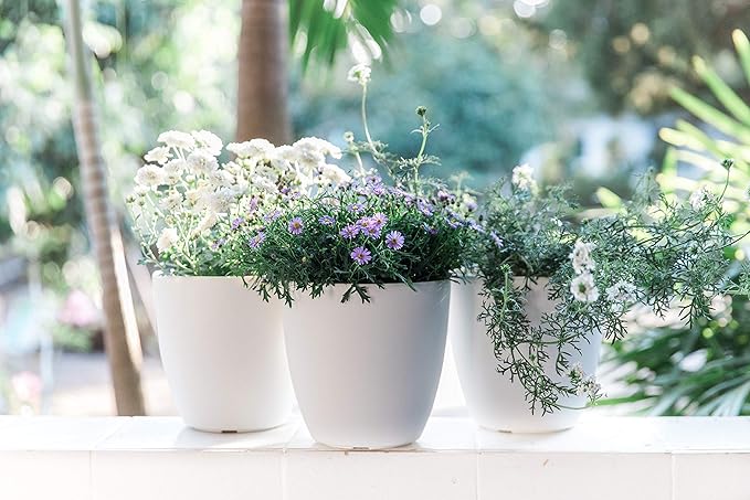 GARDENIX DECOR Self Watering Pots for Indoor Plants 3 Pack - Flower Pot with Water Level Indicator for Plants, Grow Tracking Tool - Self Watering Planter Plant Pot - Coco Coir - White Rootora
