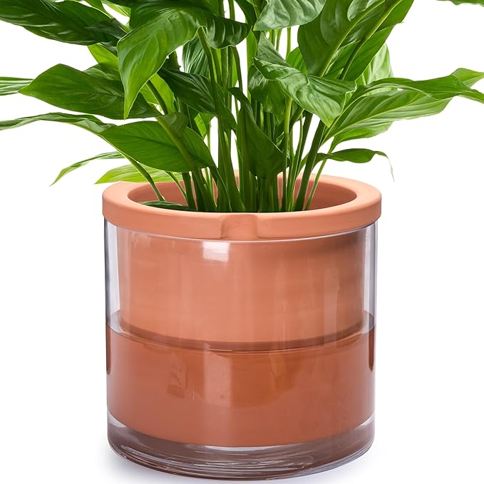 Phoenix Vine 10 Inch Self Watering Planter, White Terracotta Pot for Plants, Indoor Cylinder Terra Cotta Pot with Glass Vase Phoenix+Vine