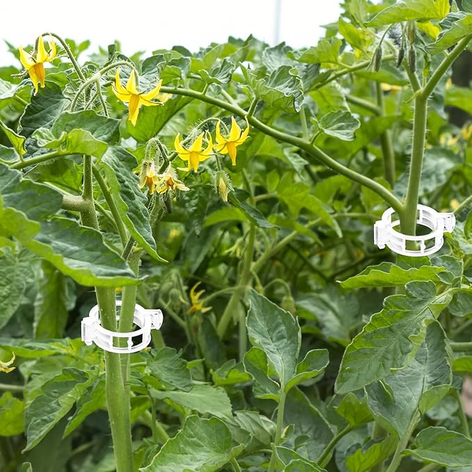 OJYUDD 400 Pcs White Plant Support Garden Clips,Plastic Tomato Vine Clips,Secured Climbing Plant Clip for Flower Vine Grape Twine Orchid OJYUDD