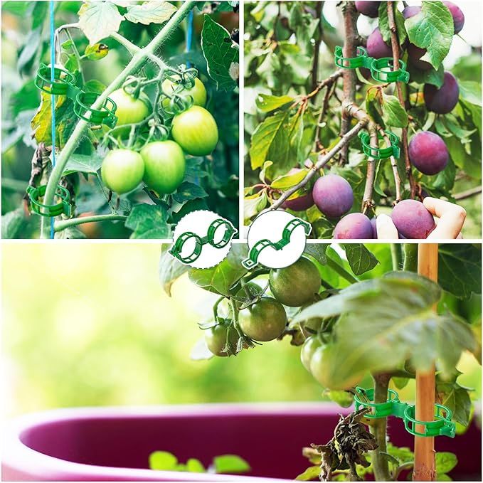 OJYUDD 200 Pcs Plant Support Clips,Plastic Plant Clips for Climbing Plants,Garden Vine Clips for Tomato,Grape,Cucumber,Vegetables (Green) OJYUDD