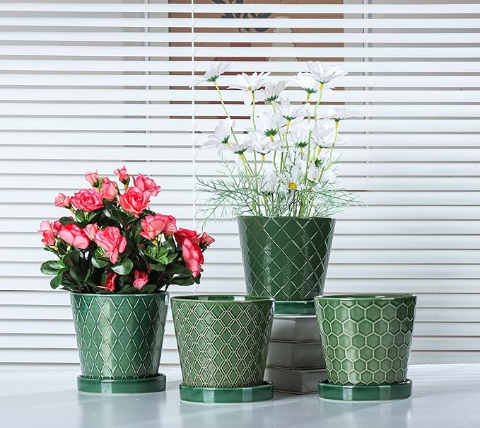 BUYMAX Plant Pots Indoor –5 inch Ceramic Flower Pot with Drainage Hole and Ceramic Tray - Gardening Home Desktop Office Windowsill Decoration Gift, Set of 4-Plants NOT Included (Patina) BUYMAX