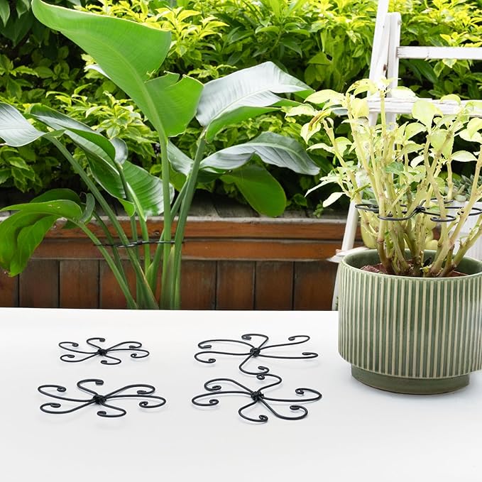 Monstera Plant Support Hook - 4.1x4.1IN 5PCS, Durable Adjustable Stem Support System, Gentle Protection for Monstera and Fishbone Cactus, Professional Indoor Plant Stabilizer Yohsnor