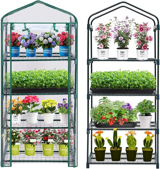 Mini Greenhouse for Indoor Outdoor, Plant Green House 4-Tier Rack Stand Portable Greenhouses with Durable PVC Cover for Seedling, 2.5x1.6x5.2 FT,Ideal Gardening Gifts for Women Men(PLGH704P) Purlyugreenhouse