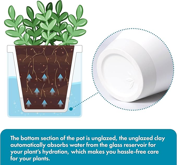 D'vine Dev 4 Inch Design Self Watering Planter for Indoor Plants, White Terracotta Pots with Cylinder Glass Cup, Set of 3, 37-Z-A-2-T DvineDevPlanterPotsandStand
