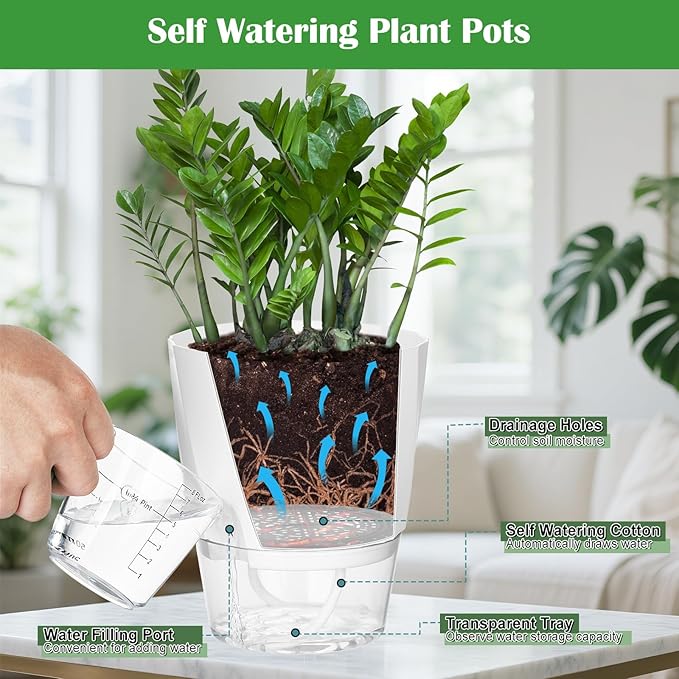 KIMCHOMERSE Self Watering Plant Pots, 6 Inch Plant Pots White, 3 Pack Flowers Pot Indoor Planter Pots with Tray for Spider Plant, Orchid, African Violet KIMCHOMERSE