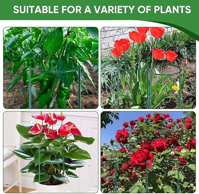 6 Pack 32 or 16 inch Adjustable Plant Support Stakes, Heavy-Duty Half Round Peony Support, Garden Plant Stakes Cage for Outdoor Plants, Peony, Tomato, Hydrangea, (16In Support +16In Extension Tubes) HiGift