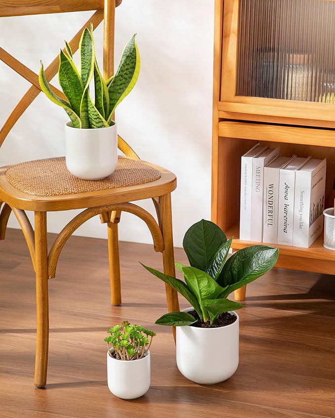 vancasso Ceramic Plant Pots, 4+5+6 inches, Set of 3, Planters with Drainage Hole, Flower Pots Planters Pots for Indoor Plants, Modern Indoor Decorative Garden Pot, Home Decor, White vancasso