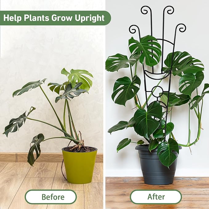 32.6in Plant Trellis for Climbing Plants Indoor, Expandable Large Metal Trellis for Potted Plants, Heavy-Duty Tall Pothos Plant Climber Support for Ivy Pothos Hoya Monstera, 4P Xeeol