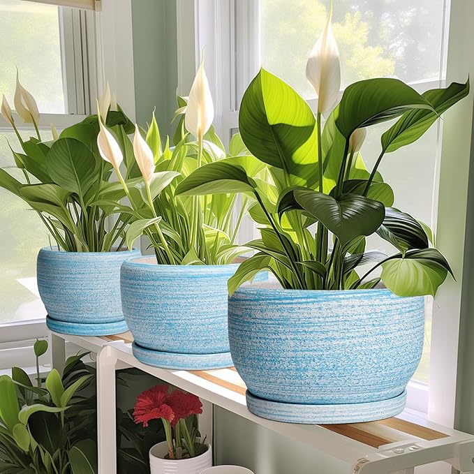 SQOWL Ceramic Planter - 8 inch Pot for Plants Indoor Outdoor, Modern Ceramic Flower Pot with Drainage Hole and Saucer, Decorative Round Planter, Home Office Decor, Plant Lovers Gifts, Blue SQOWL