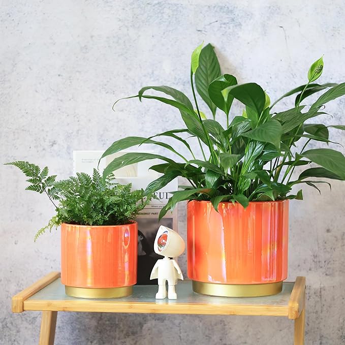 Gepege Peach Indoor Plant Pots for Plants, Ceramic Planter with Drainage Hole, 7.6 Inch +6 Inch 2pcs Succulent Orchid Flower Pot - Rainbow Pearl Glaze Gepege