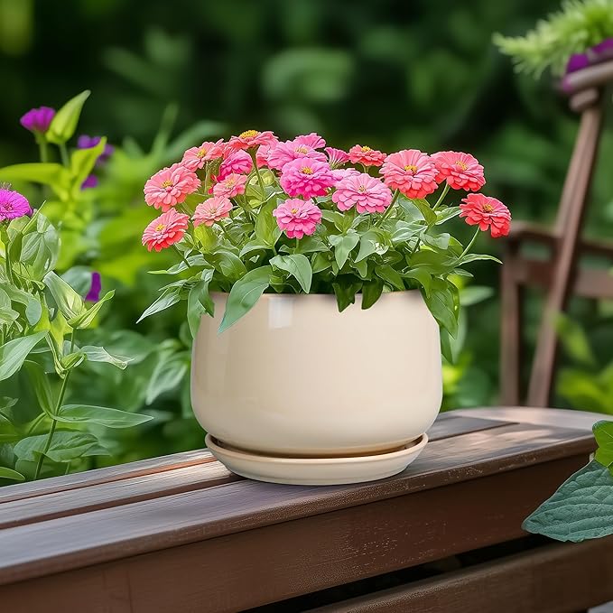 G EPGardening Ceramic Pot for Plants - 6 Inch Planter with Drainage and Ceramic Saucer, Flower Pots for Indoor Plants, Modern Outdoor Planter, Home Decor, Gift for Women Men, Beige GEPGardening