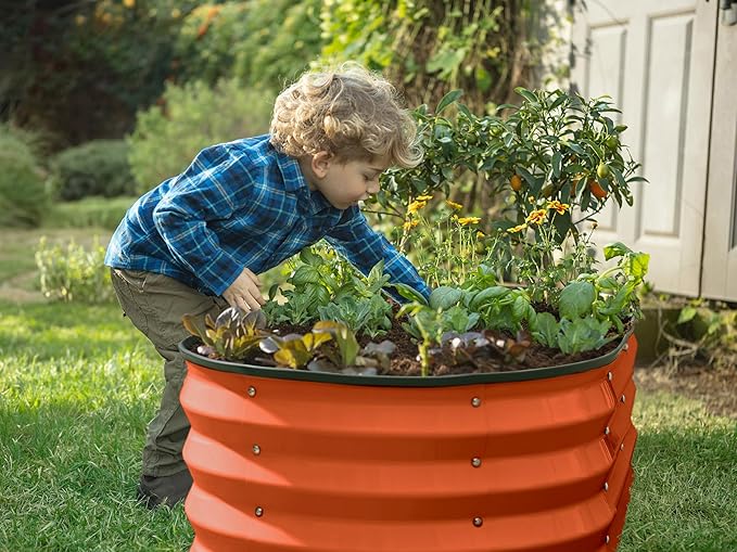 Plant & Plot Galvanized Raised Garden Beds Outdoor // 4×2×1 ft Planter Raised Beds for Gardening, Vegetables, Flowers (Orange) // Large Metal Garden Box PlantPlot