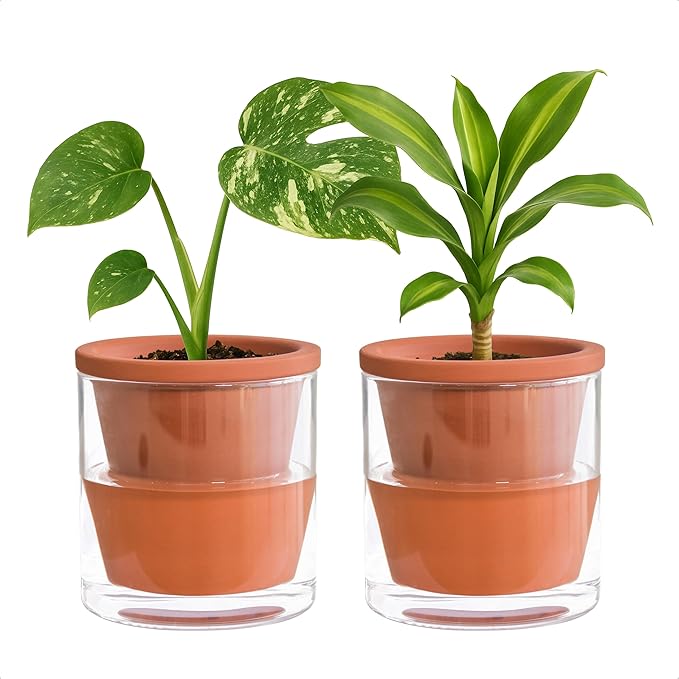D'vine Dev 4 Inch Design Self Watering Pot for Indoor Plants, Terracotta Planter with Cylinder Glass Cup, Set of 2, 37-Y-A-1 DvineDevPlanterPotsandStand