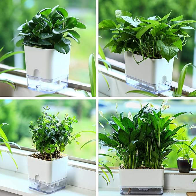 Planterhoma Self Watering Plant Pots for Indoor Plants 4.3 inch, 6 Packs Square Self-Watering Planters with Drainage Hole, White African Violet Pots for Devil's Ivy, Spider Plant, Orchid, Herb Planterhoma