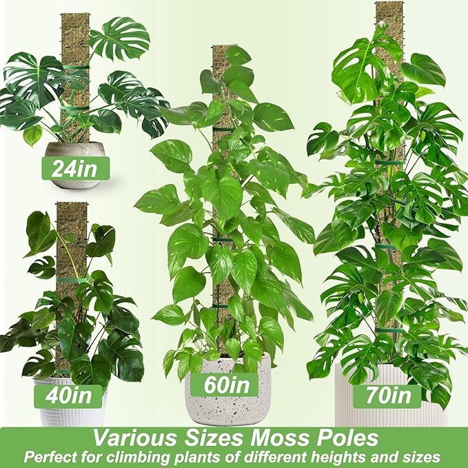 24" Metal Moss Pole, D Shape Sphagnum Moss Pole, Moss Poles for Climbing Plants, Monstera, Indoor Climbing Plants (2Pcs 24") HOLANHING