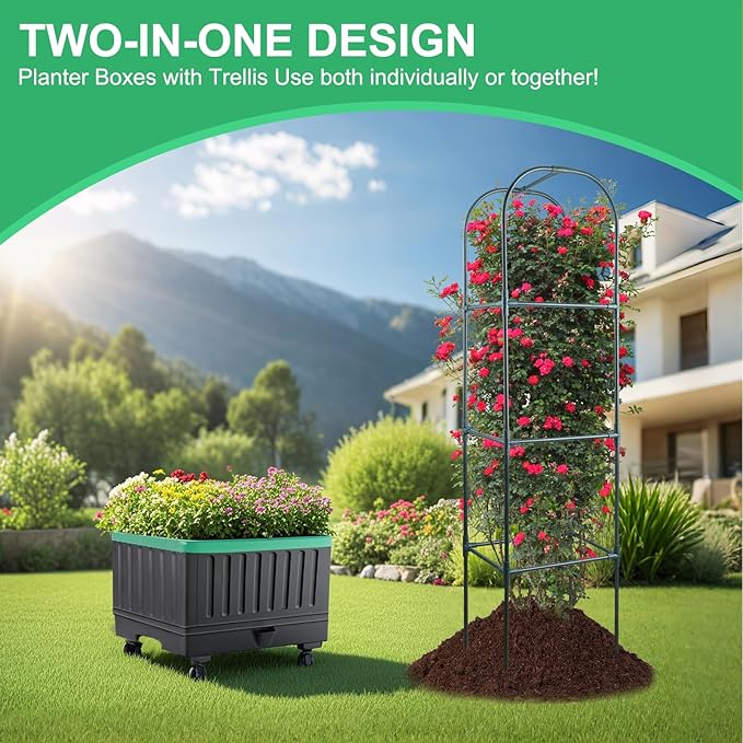 Raised Garden Bed with Self Watering Garden Pots, Planter Box with Trellis for Climbing Plants Vegetable Vine Flowers, Tomato Cage Planter for Indoor Outdoor Yard Greenhouse Use YHTPOUQE