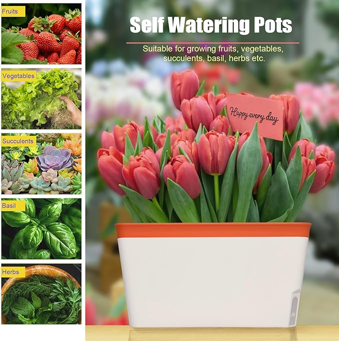OurWarm Windowsill Herb Planter Box Indoor Set of 3, 10.5 Inch Self Watering Planter Pots with Visual Water Level Window, Modern Plastic Plant Pots for Herbs, Vegetables, Succulents Plants OurWarm