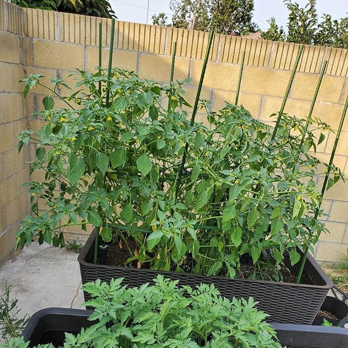 Garden Plant Stakes 48 Inch 4Ft Steel Plant Stick Support, 25 Pack Tomato Stakes for Growing Climbing Plants, Potted Plants, Tomatoes, Trees, Cucumber, Beans, Fences Poles Xuwzenkl