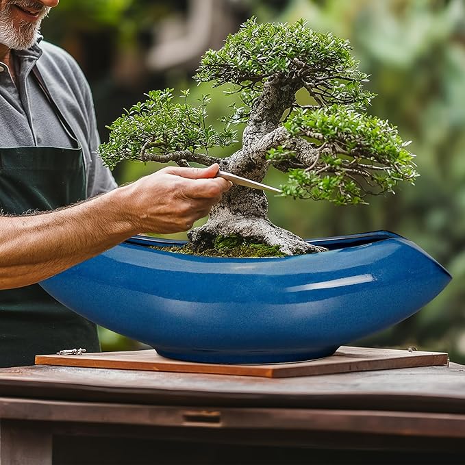 Bonsai Tree Pot 18 Inch - Ceramic Succulent Pots Large Bonsai Planter for Indoor Outdoor Plants Decorative Plant Pot with Drainage Hole Flower Pot for Home Garden Room Decor Blue Teagas