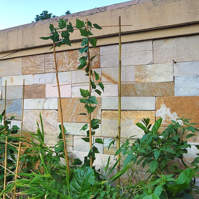 10 Pack 4ft Bamboo Trellis for Climbing Plants - Fan-Shaped Support Trellis for Potted Plant Decor in Door Biotolot