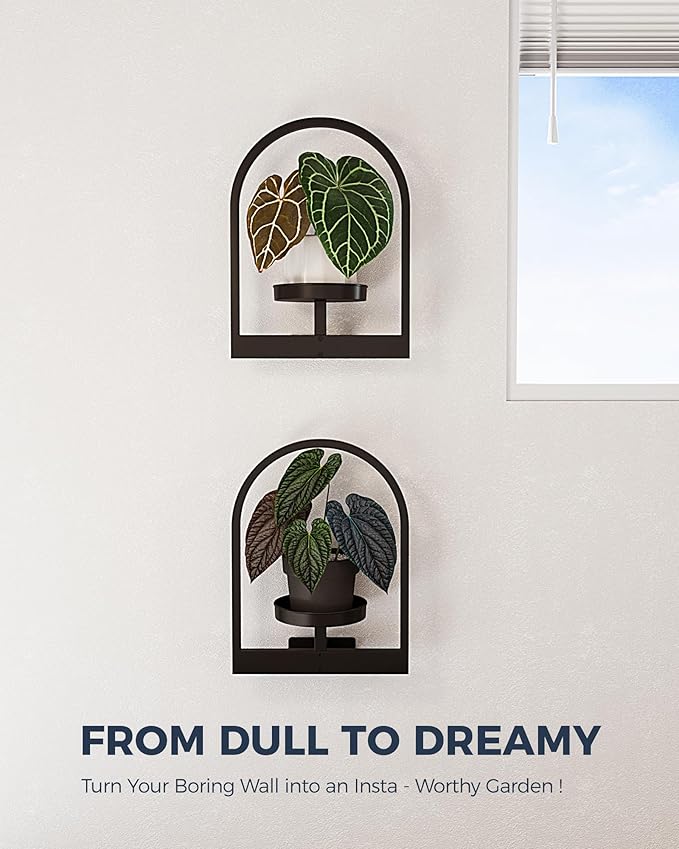 Bamworld Plant Stand Indoor, Plant Hanger Wall Planters for Indoor Plants Window Plant Shelves Plant Holder Wall Decor, Room Decor, Round (Patent Design) Bamworld