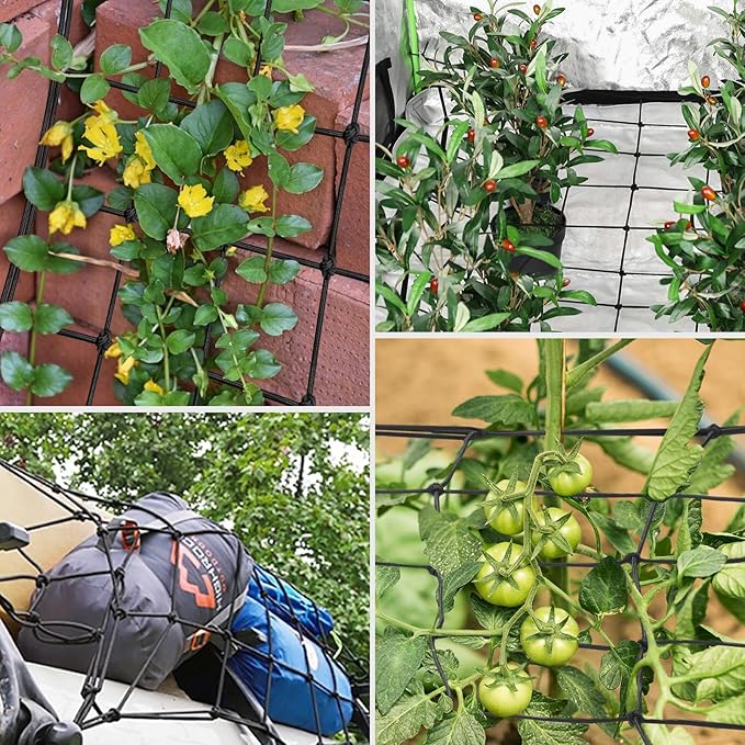 VIVOSUN 4 x 4Ft. Elastic Trellis Netting with 4 Hooks for Climbing Plants, Vegetables, Fruits, and Flowers, 2-Pack VIVOSUN