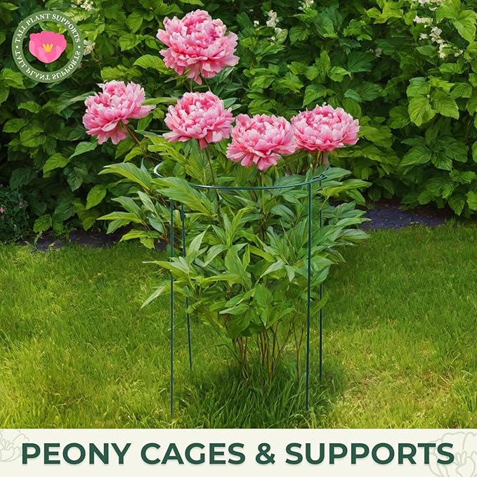 LEOBRO Plant Support, 8 PCS Peony Cages and Supports, Plant Stakes, Plant Supports for Indoor Plants, Outdoor Plants, Monstera Hydrangea Support Cage, 10" W x 24" H LEOBRO