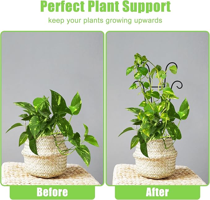 Coomin Small Plant Trellis for Climbing Plants Indoor, 14.5in Metal House Plant Trellis for Potted Plants, Mini Plant Support for Hoya Pothos, Black COOMIN