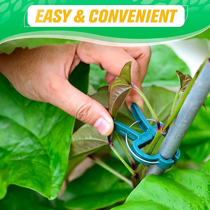 Tomato Plant Support Clips – 60 Pcs Reusable Plastic Garden Clips in 2 Sizes for Upright Growth of Vegetables, Flowers & Vines DIMROM
