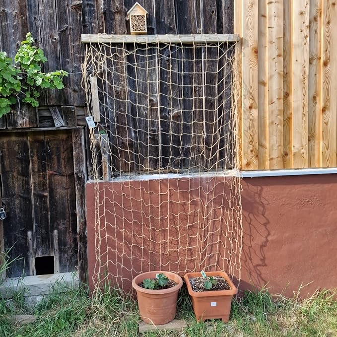 Jute Trellis Netting - Jute Netting for Garden, Heavy Duty Plant Support Netting for Climbing Plants, Cucumber, Vine, Fruits & Vegetables, Climbing Vining Plants (6.6 Ft x 32.8 Ft, 5.9 Inch Squares) Miuezuth