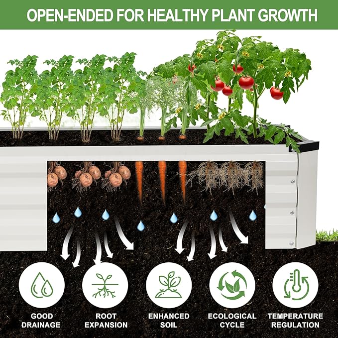 Galvanized Raised Garden Bed Outdoor | Metal Raised Garden Bed for Gardening 2Pack | Large Planter Box for Vegetables Flowers Fruits | Easy Assembly & Safety Design Flower Beds 12x2x1ft White Zettfuly