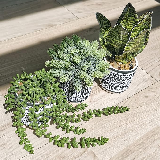 Winlyn 3 Pcs Small Potted Plants Artificial Succulents Hanging Plants and Faux Tropical Snake Plant in Black Geometric Pots for Modern Home Kitchen Windowsill Table Shelf Indoor Outdoor Greenery Decor Winlyn
