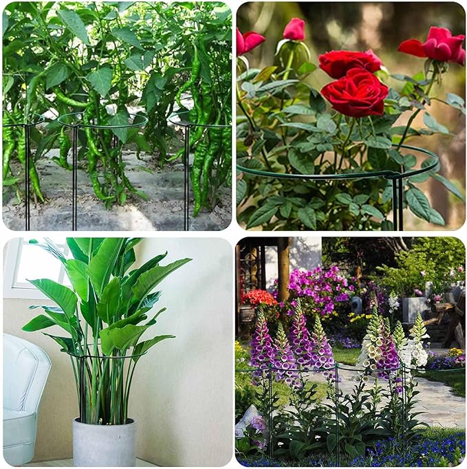 TCBWFY 10 Pack Plant Support Stakes for Peony,10"Widex24"High Heavy Duty 4.5mm Peony Cages and Support,Metal Peony Supports for Outdoor Indoor Plants,Plant Supports for Peony TCBWFY