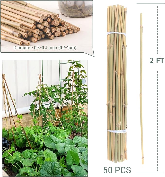 50Pcs / 2ft Bamboo Plant Stakes for Indoor Outdoor Plants, Garden Plant Support Sticks, Poles for Tomato Vegetables Beans Trees Potted Climbing Plants(0.32'') Avalution