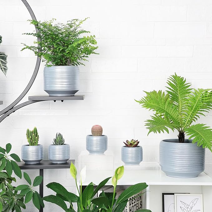 Mini Succulent Planter Set – 3.7 Inch Ceramic Pots with Drainage for Indoor Plants, Small Decorative Flower Pots for Cactus and House Plants, Set of 4 Bestseler