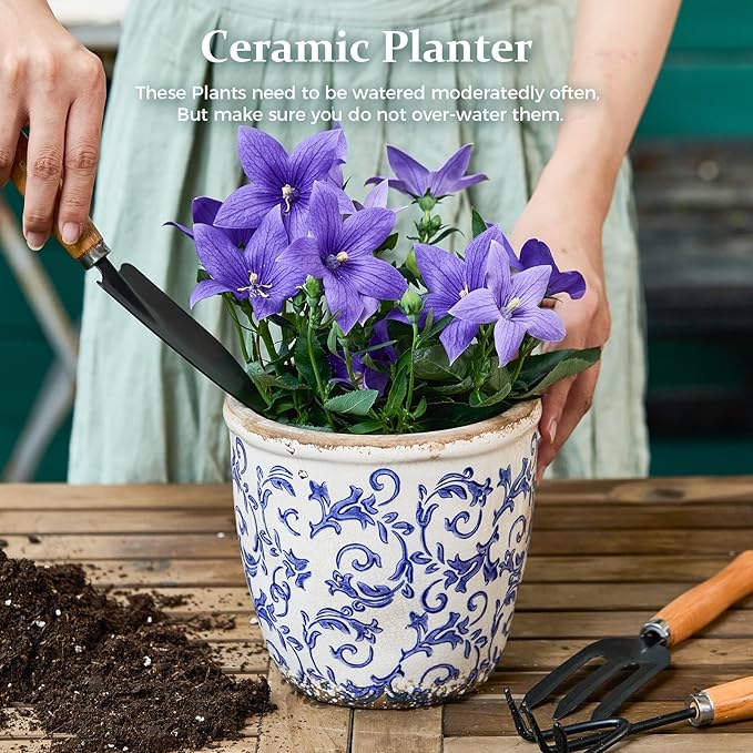 Vintage Ceramic Planter Without Drainage Hole, 6.5 Inch - Indoor/Outdoor Flower Pot for Orchids, Succulents, Blue Floral Rustic Farmhouse Plant Pot for Home, Office & Garden Décor, Ideal Gift TEWEIQI