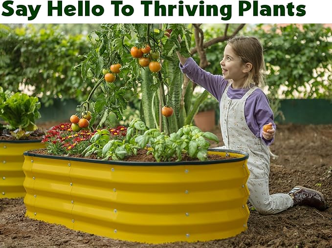 Plant & Plot Galvanized Raised Garden Beds Outdoor // 4×2×1 ft (2-Pack) Planter Raised Beds for Gardening, Vegetables, Flowers (Yellow) // Large Metal Garden Box PlantPlot