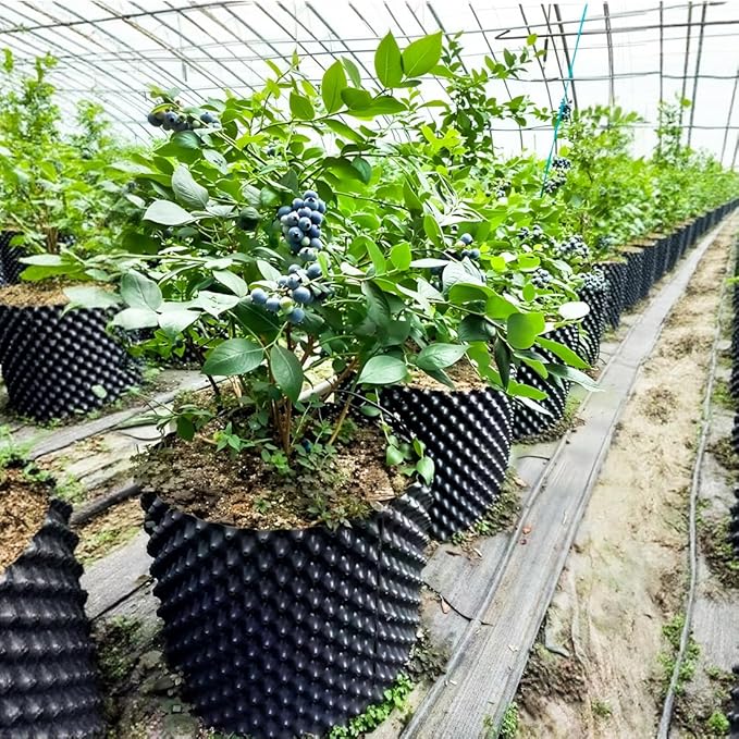 Air Pruning Containers, 14 Gallon Air Pruning Planters, Plastic Pots for Plants, Large Plant Pots, Fruit Vegetable Garden Self-Planting Planters, Size 16"x16", Black, 10P RooTrimmer