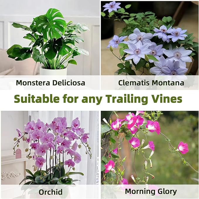 Avalution 5 Pack Bamboo Trellis for Climbing Plants Indoor, 16 Inch Garden Ladder Trellis for Potted Plants, Fan-Shaped Small Plant Support Trellis for Houseplants Ivy Hoya Vine Monstera Avalution