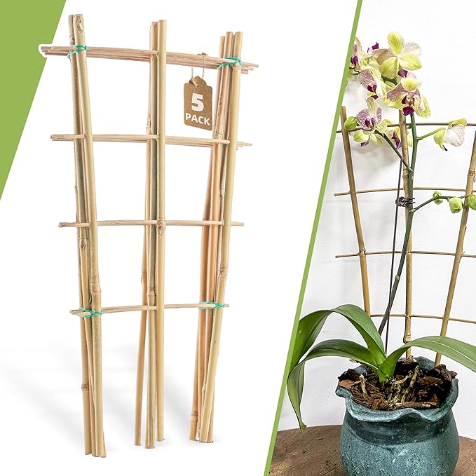 5 Pack 16" Bamboo Trellis for Climbing Plants-Natural Garden Ladder Fan -Shaped Plants Support Trellis for Potted Plant Decor in Door Biotolot