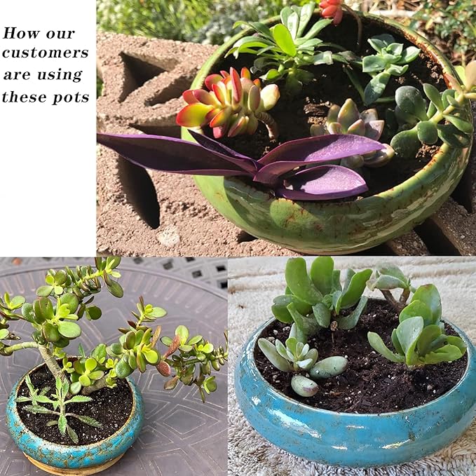 ARTKETTY Succulent Pot, 10 Inch Large Succulent Planter Pot with Stand, Ceramic Bonsai Pot with Mess Drainage Screen Shallow Cactus Flower Pot for Indoor/Outdoor Plants ARTKETTY