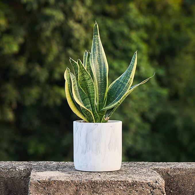 Ekirlin 6 Inch Resin Plant Pot Indoor - Natural Marble Texture Garden Planter with Drainage Hole, Removable Rubber Stopper and Non-Slip Soft Pad, Modern Succulents Containers for Home, Outdoor Ekirlin