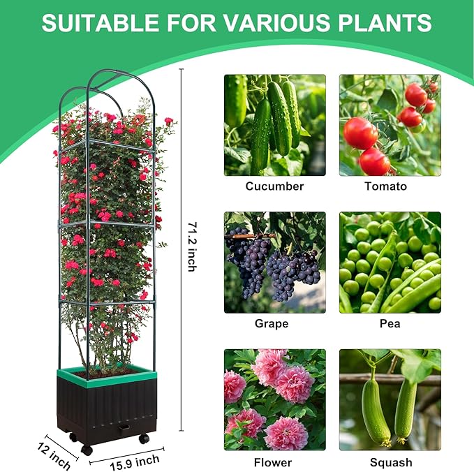 Raised Garden Bed with Self Watering Garden Pots, Planter Box with Trellis for Climbing Plants Vegetable Vine Flowers, Tomato Cage Planter for Indoor Outdoor Yard Greenhouse Use YHTPOUQE