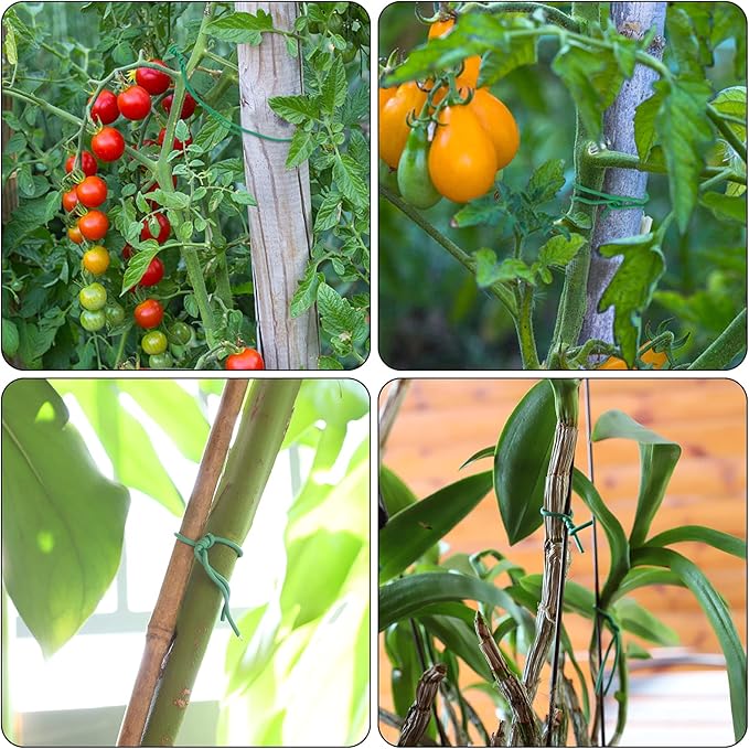 YDSL 100 Feet Soft Tie for Plants, Green Twist Garden Ties Gardening Supplies for Supporting Climbing Plants, Tomatoes, Vegetables, (Diameter - 2.5MM) YDSL