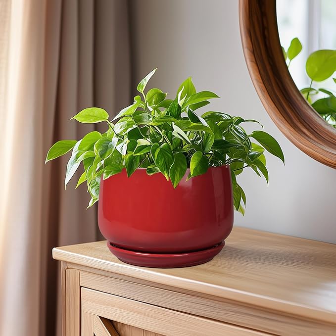 G EPGardening Ceramic Pot for Plants - 6 Inch Plant Pot with Drainage and Ceramic Tray, Modern Living Room Decor, Planter for Housewarming Gifts New Home, Red GEPGardening