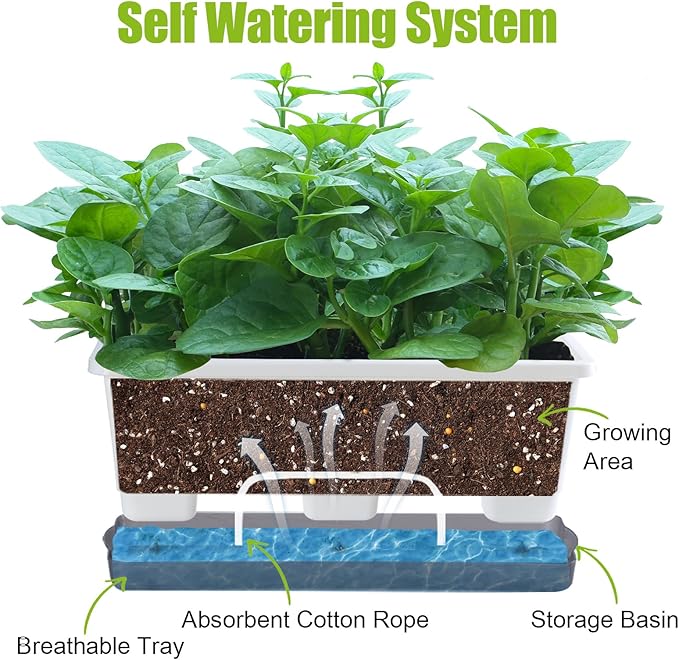 Window Box Planter 8 Pcs, 17 Inches Rectangle Flower Pots with Drainage Holes & Trays, Vegetable Planters for Windowsill Patio Garden Balcony Home Indoor Outdoor (White, 16 * 7 * 6 inch) Oliz