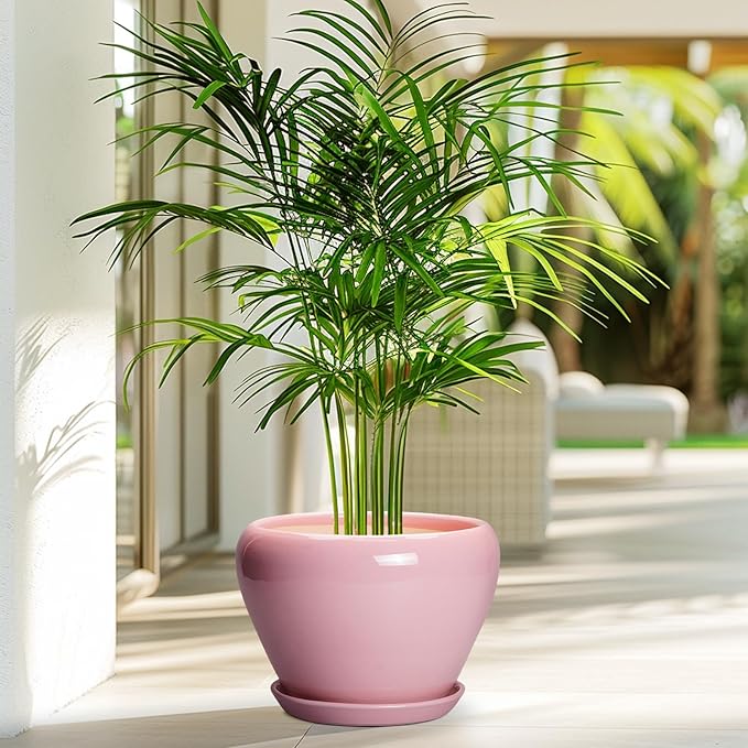 Ceramic Modern Glaze Succulent Planter Pot with Drainage Hole and Saucer 8 Inch Round Flower Plant Pot for Indoor Outdoor Herb Snake Plants, Pink Ceramicfor