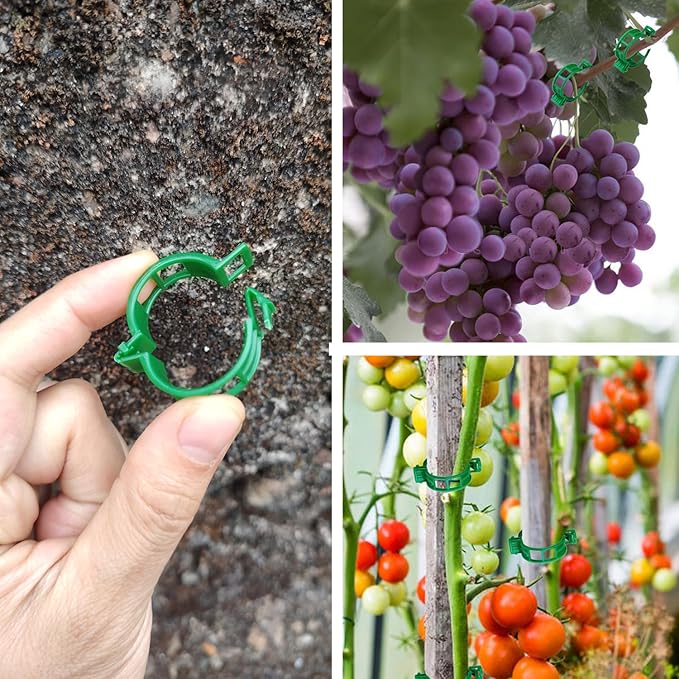 Plant Support Clips, 100 Pcs Tomato Clips, Plastic Trellis Clips, Grape Vine Tomato Vine Vegetables Plants Garden Support Clips to Grow Upright Makes Plants Healthier Rootora