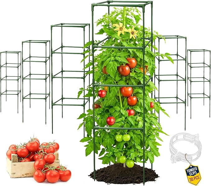 Tomato Cage Square - Large Trellis Stakes and Plant Support Structures for Vegetables and Climbing Plants - Tall Tomato Cages for Garden, Pots, Raised Garden Bed Outdoor Supplies (6 Pack - Up to 58") K-BRANDS